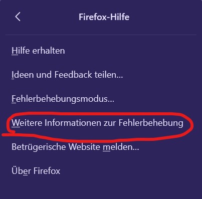 ...danach auf "Weitere Informationen zur Fehlerbehebung" (Es öffnet sich ein weiterer TAB)