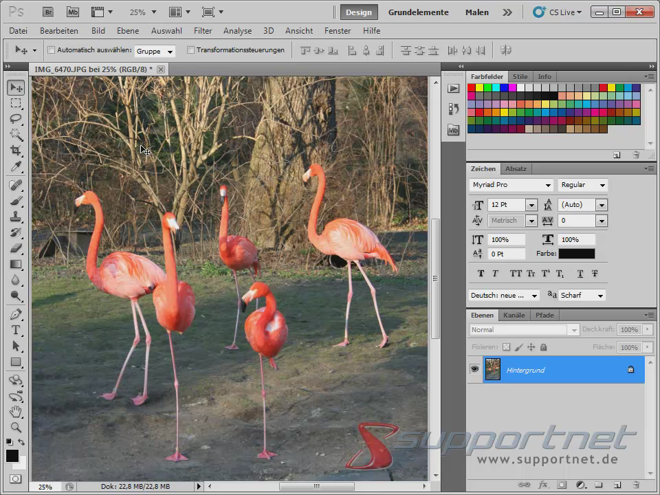 01-Adobe-Photoshop-CS5--Content-Aware-Inhaltssensitiv-Flamingo_470.png