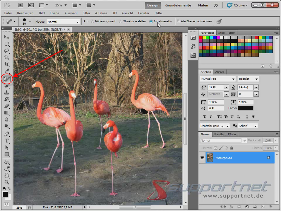 02-Adobe-Photoshop-CS5--Content-Aware-Inhaltssensitiv-Flamingo-Berichsreparatur-Pinsel-Werkzeug_470.png
