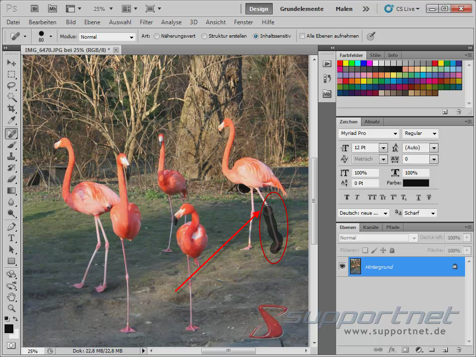 05-Adobe-Photoshop-CS5--Content-Aware-Inhaltssensitiv-Flamingo-Berichsreparatur-Pinsel-Werkzeug-Inhaltssensitiv-Bein-uebermalen_470.png
