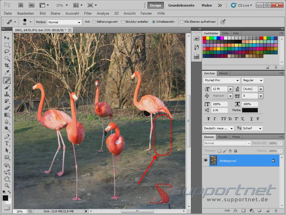 06-Adobe-Photoshop-CS5--Content-Aware-Inhaltssensitiv-Flamingo-Berichsreparatur-Pinsel-Werkzeug-Inhaltssensitiv-Bein-weg_470.png