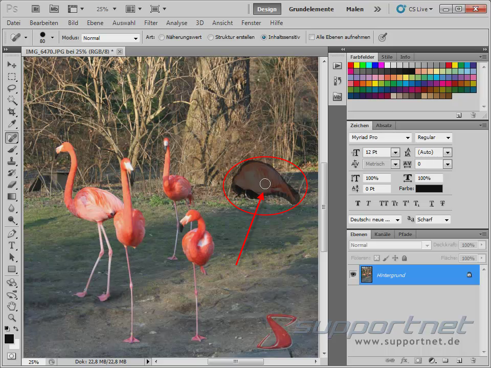 07-Adobe-Photoshop-CS5--Content-Aware-Inhaltssensitiv-Flamingo-Berichsreparatur-Pinsel-Werkzeug-Inhaltssensitiv-Koerper-weg_470.png