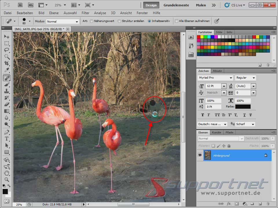 09-Adobe-Photoshop-CS5--Content-Aware-Inhaltssensitiv-Flamingo-Berichsreparatur-Pinsel-Werkzeug-Inhaltssensitiv-Korrektur_470.png