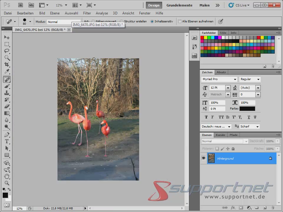 10-Adobe-Photoshop-CS5--Content-Aware-Inhaltssensitiv-Flamingo-Berichsreparatur-Pinsel-Werkzeug-Inhaltssensitiv-fertig-Ergebnis_470.png
