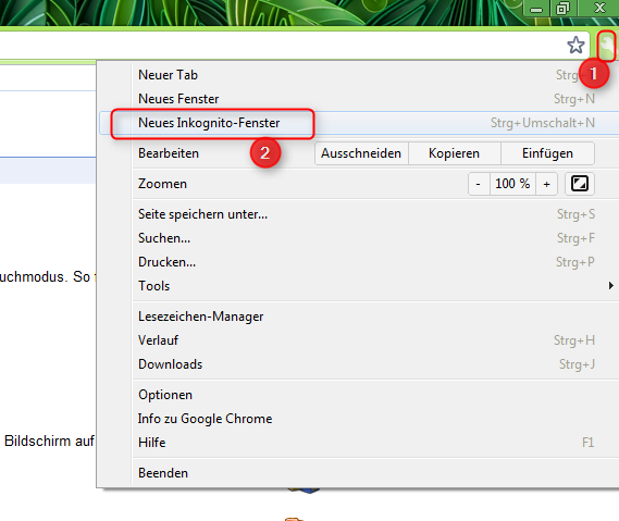 10-Die-neuen-Browser-Google-Chrome-6-Screenshot-Anonymes-Browsen_-_Kopie-470.png