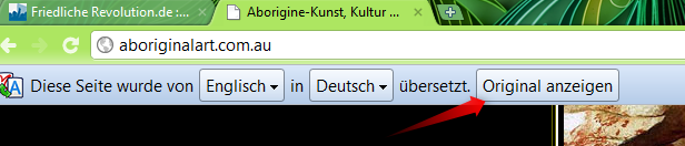 14-Die-neuen-Browser-Google-Chrome-6-Screenshot-Uebersetzungsfunktion-rueckgaengig-470.png