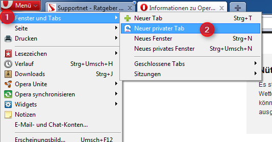 08-Die-neuen-Browser-Opera-10.6-Screenshot-privater-Tab1-470.png
