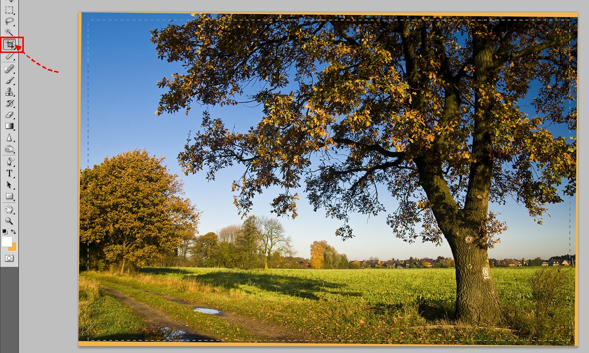 08-Ziehen-Sie-mit-dem-Beschnittwerkzeug-einen-Rahmen-um-das-Bild-470.jpg?nocache=1307810421483
