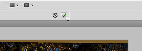 09-Klicken-Sie-auf-das-gruene-Haeckchen-um-das-Bild-zu-beschneiden-470.jpg?nocache=1308043748453