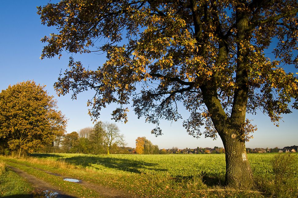 10-Am-Ende-ist-das-Bild-gerade-470.jpg?nocache=1307810454618