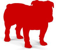 00-Bullgard-Spamfilter-Logo-80.jpg?nocache=1314963723303