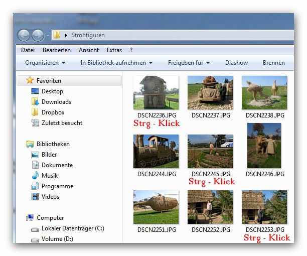 01-Kontrollkaestchen-fuer-Dateien-und-Ordner-470.jpg?nocache=1326813746461