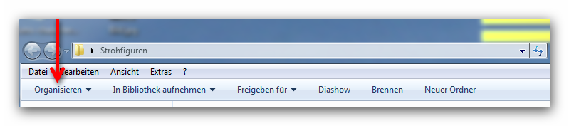 02-Kontrollkaestchen-fuer-Dateien-und-Ordner-Organisieren-470.png?nocache=1326813777405