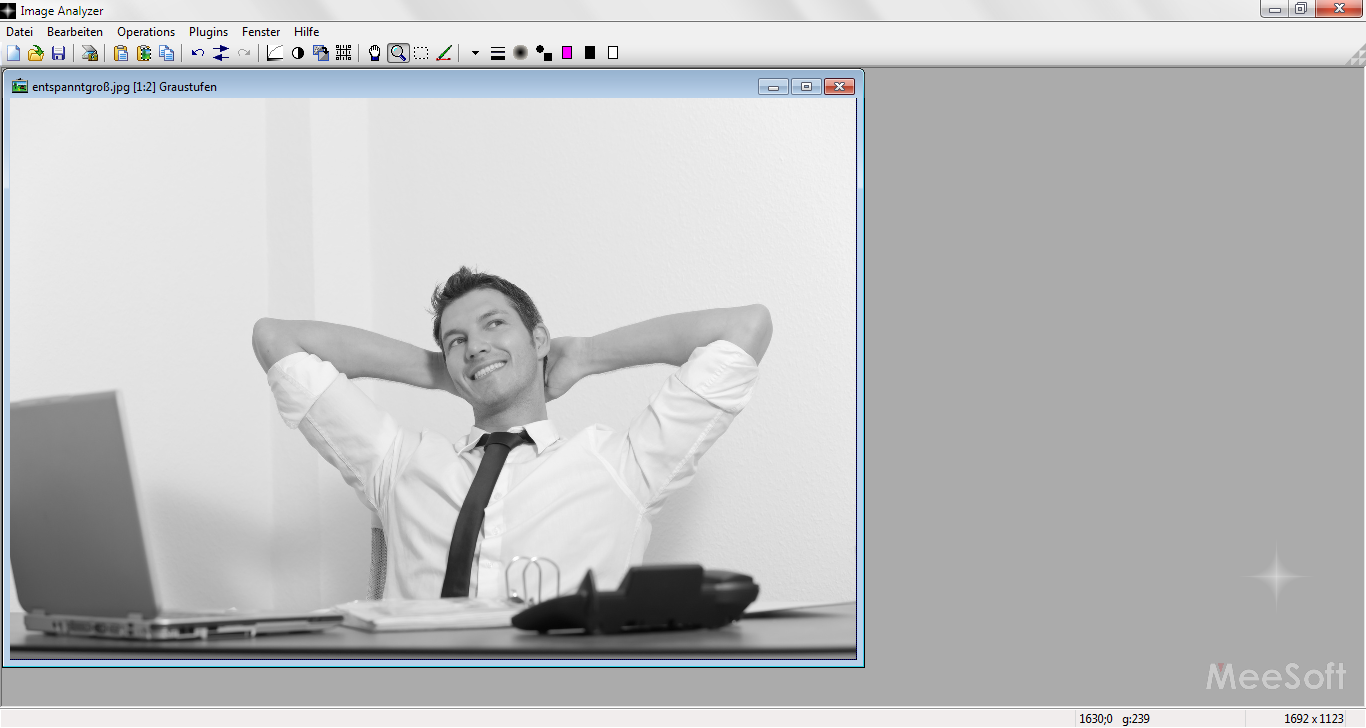 03-image-analyzer-bild-bearbeiten-graustufen-470.png?nocache=1320170644967