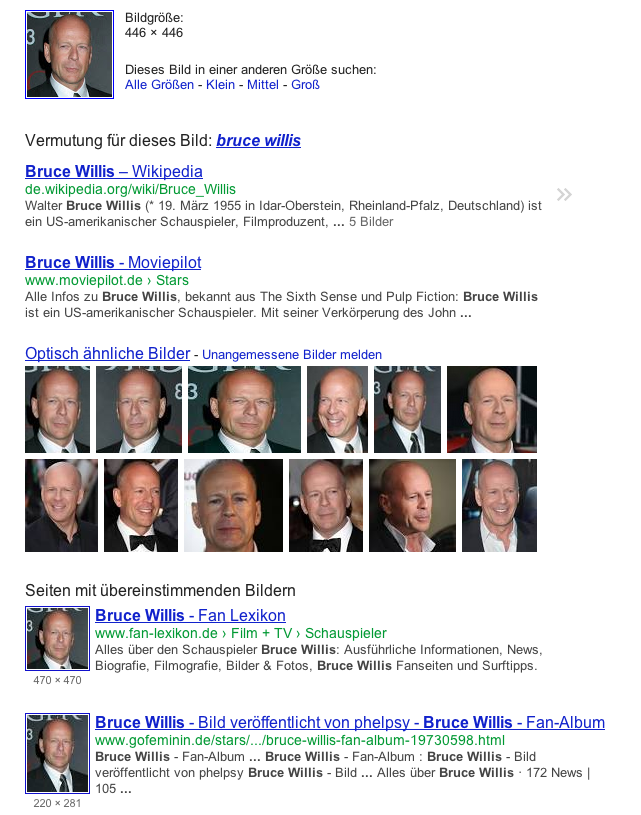 Die_Googlesuchergebnisse-470.png?nocache=1370285487876